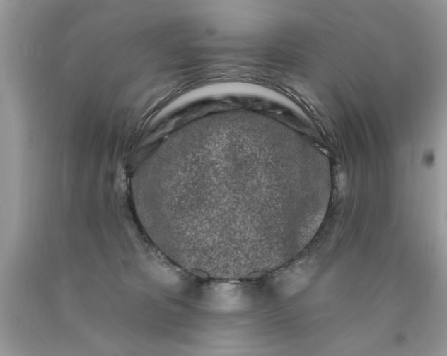 X0000090500325200707280006