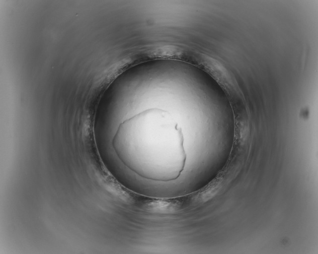 X0000090500326200707280006