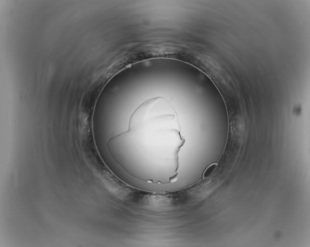 X0000090500327200707280006