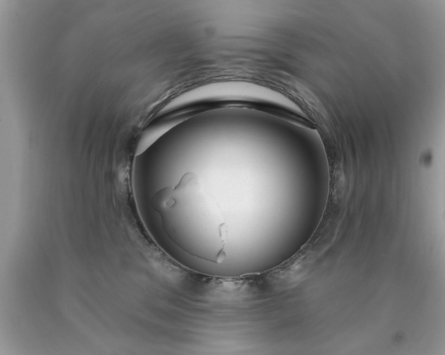 X0000090500329200707280006