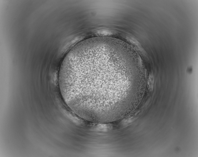 X0000090500330200707280006