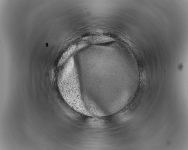 X0000090500331200707280006