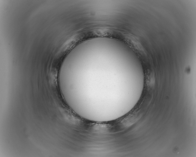 X0000090500332200707280006