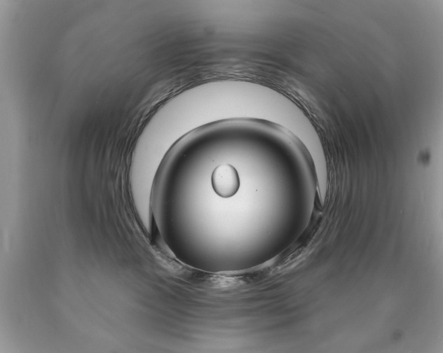 X0000090500333200707280006