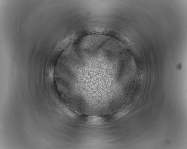 X0000090500334200707280006