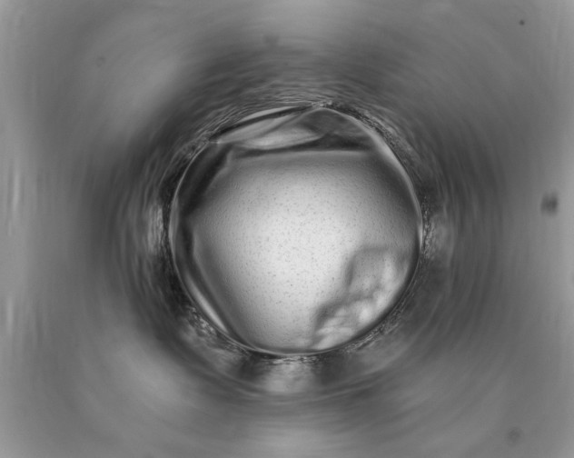 X0000090500335200707280006