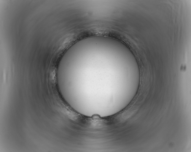 X0000090500336200707280006