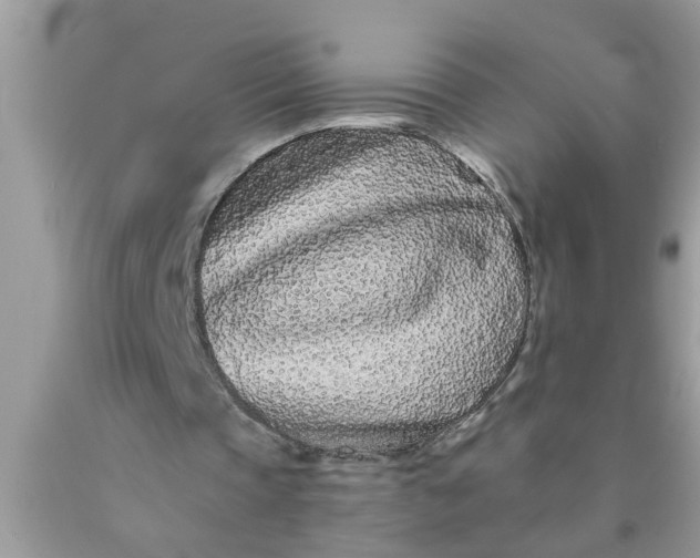 X0000090500337200707280006