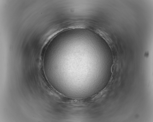 X0000090500338200707280006