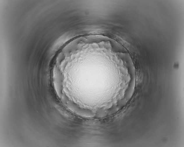 X0000090500339200707280006