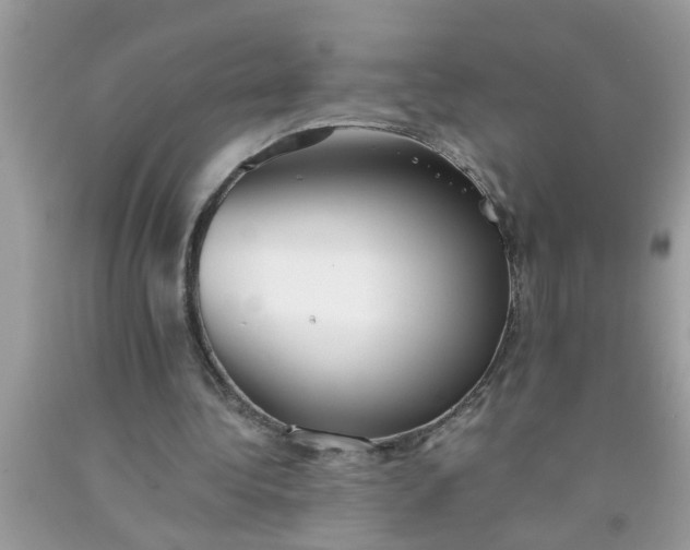 X0000090500340200707280006