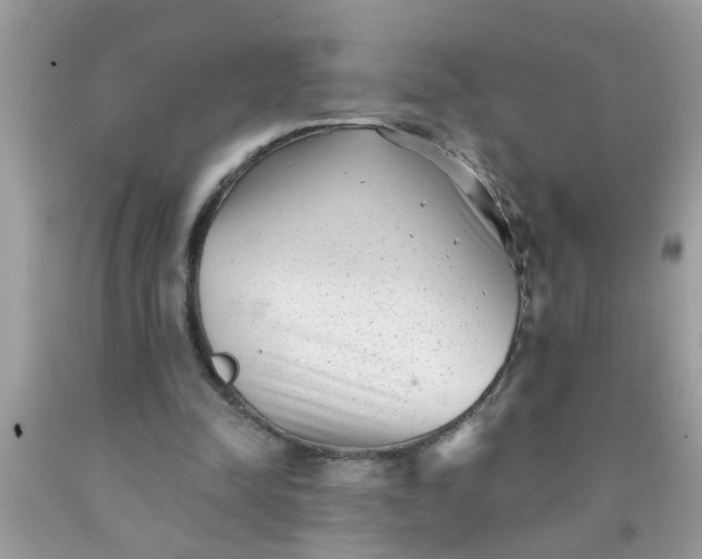 X0000090500342200707280006