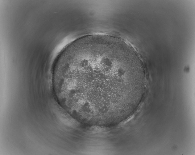 X0000090500343200707280006