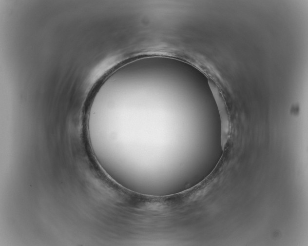 X0000090500344200707280006