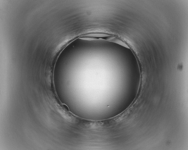 X0000090500345200707280006