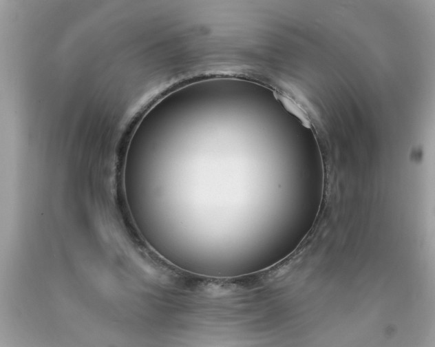 X0000090500346200707280006