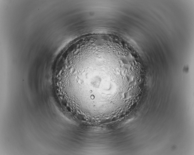 X0000090500347200707280006