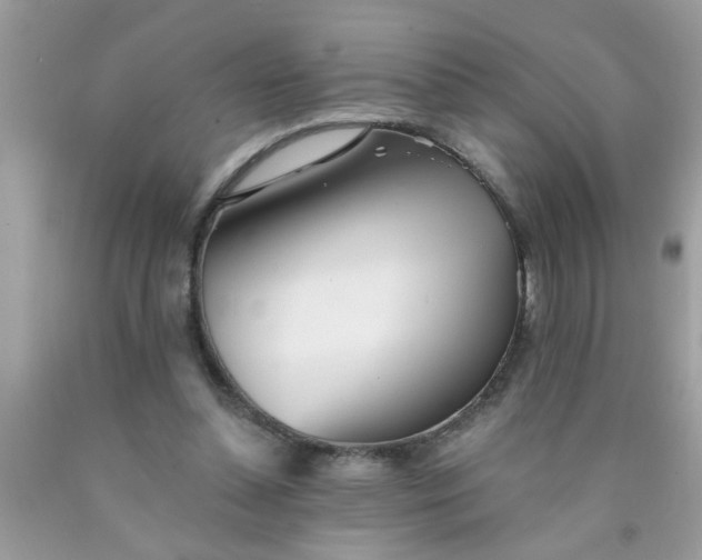 X0000090500348200707280006