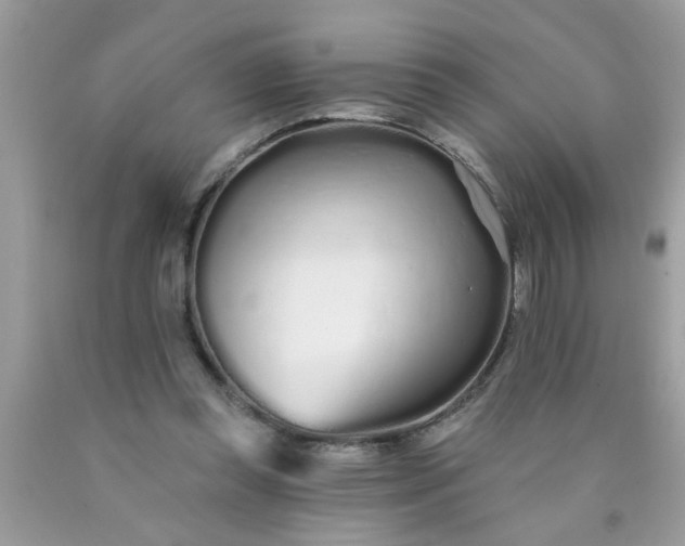 X0000090500349200707280006