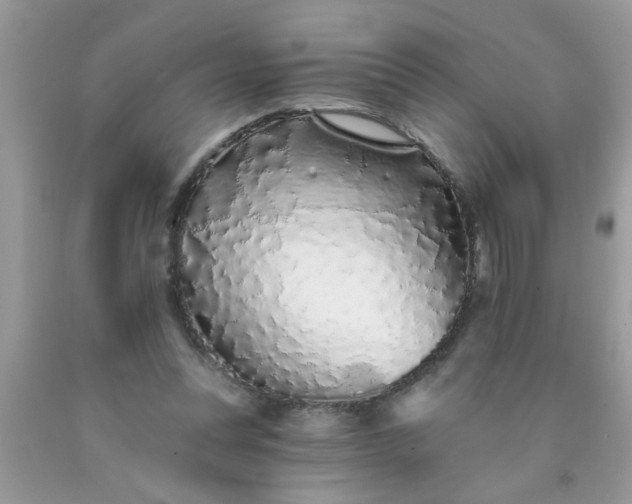 X0000090500351200707280006