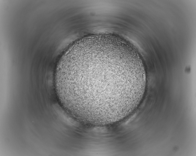 X0000090500353200707280006