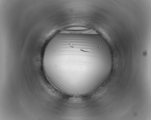 X0000090500354200707280006