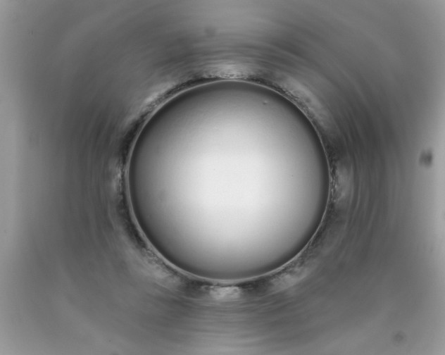 X0000090500355200707280006