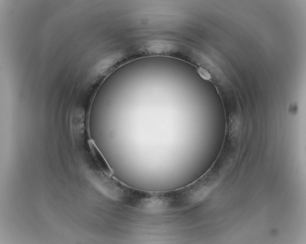 X0000090500356200707280006