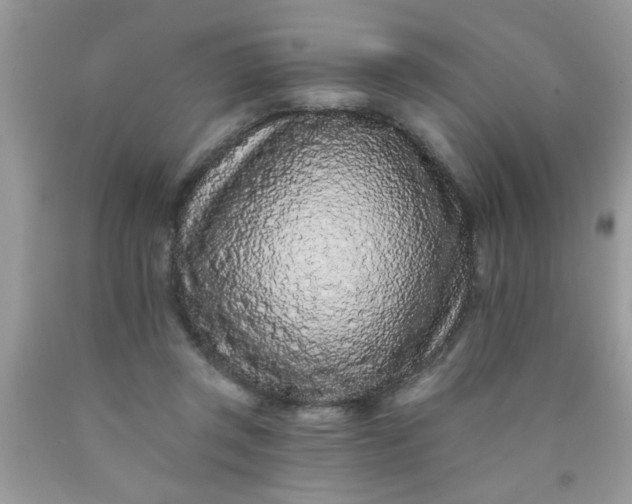 X0000090500357200707280006