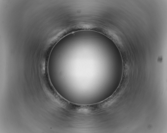 X0000090500358200707280006