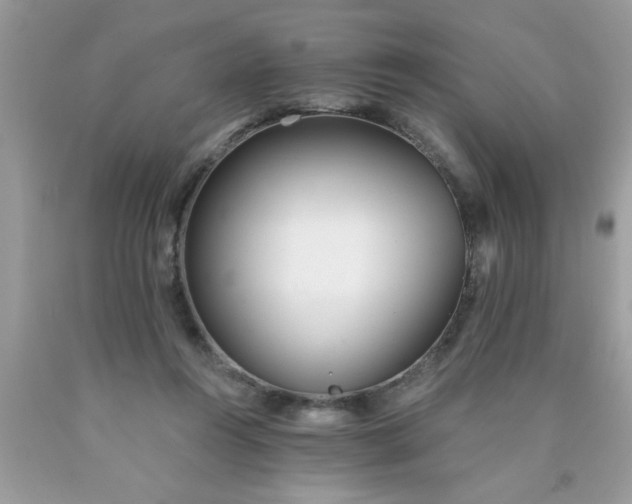 X0000090500360200707280006