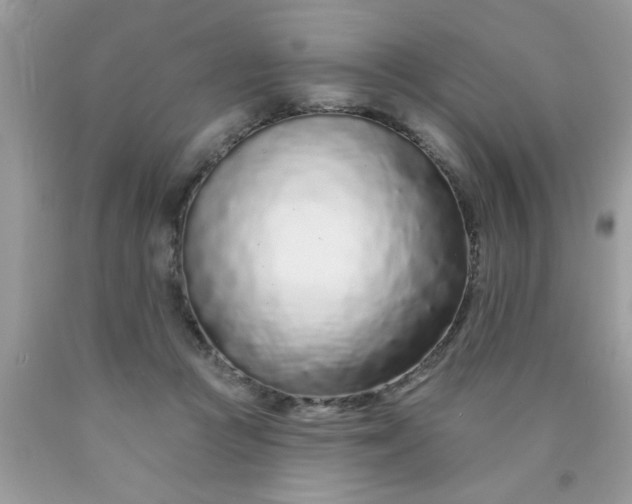 X0000090500361200707280006