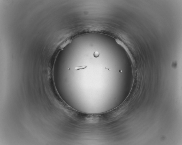 X0000090500362200707280006