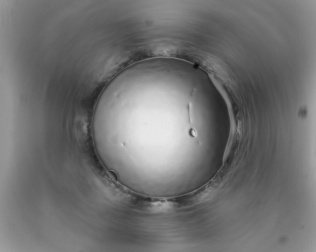 X0000090500363200707280006