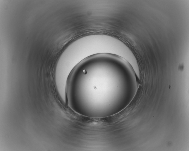 X0000090500364200707280006