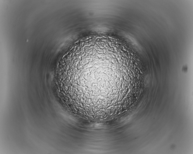 X0000090500365200707280006