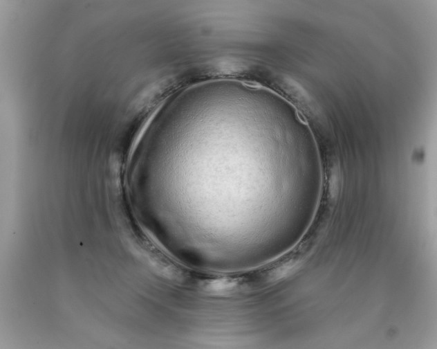 X0000090500366200707280006