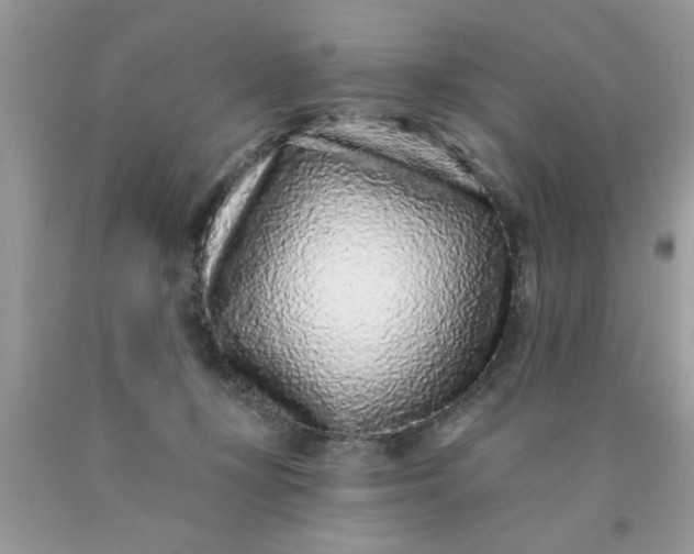 X0000090500367200707280006