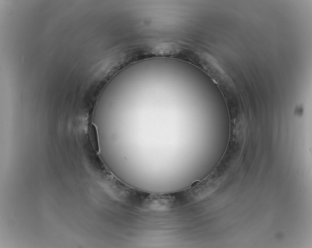 X0000090500368200707280006