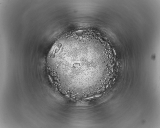 X0000090500369200707280006