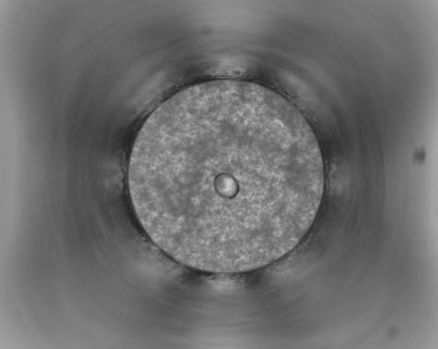 X0000090500370200707280006