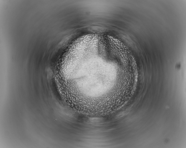 X0000090500371200707280006