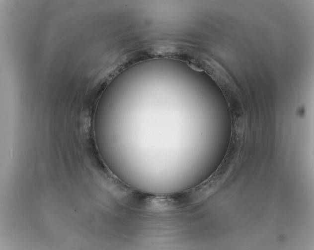 X0000090500372200707280006