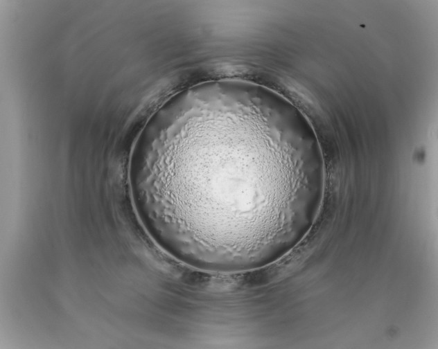 X0000090500373200707280006