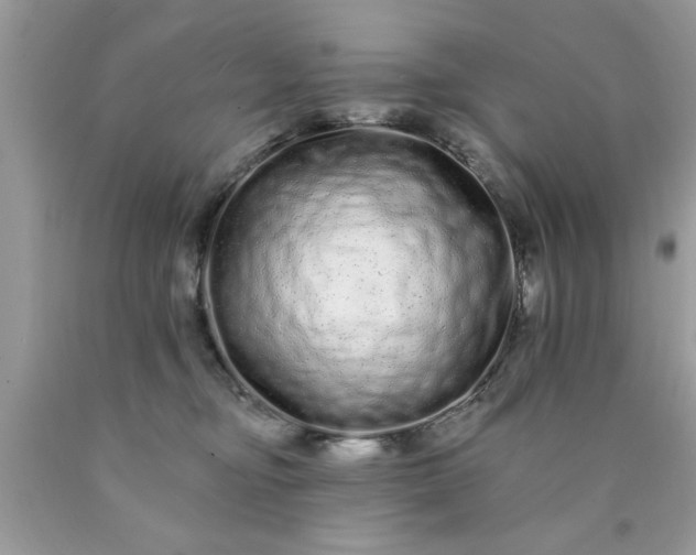 X0000090500374200707280006