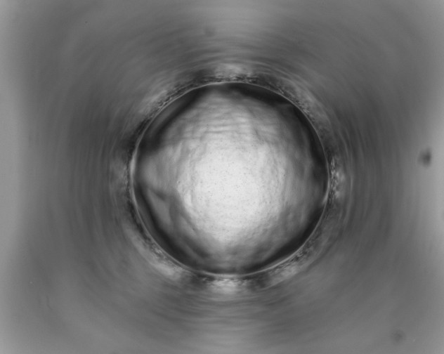 X0000090500375200707280006