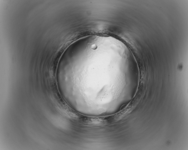 X0000090500377200707280006