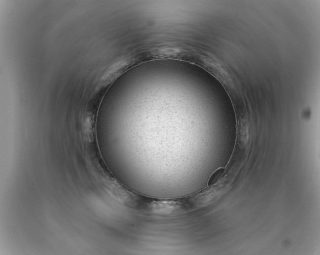 X0000090500378200707280006