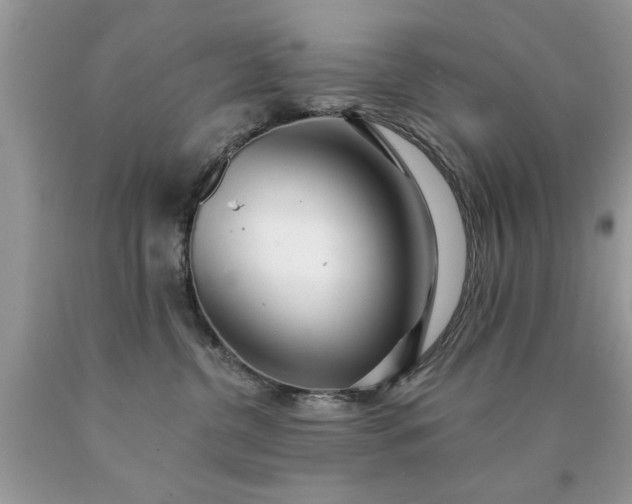 X0000090500380200707280006