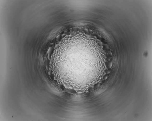 X0000090500381200707280006